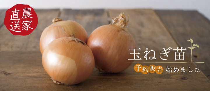 玉ねぎ　バナー