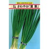 ネギ 種 【 さわやか葉葱 】 種子