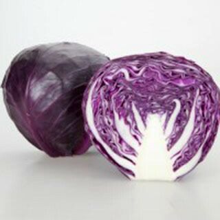 キャベツ 種 【 パープルクイーン 】 種子 コート千粒