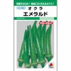 オクラ 種 【 エメラルド 】 小袋 GF （約115粒）
