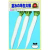 大根 種 【 夏みの早生 】 種子