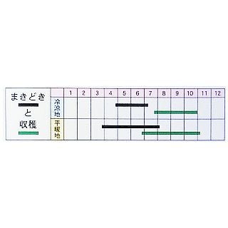 しそ 種 【赤ちりめんしそ】 小袋