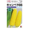 とうもろこし 種 【 キャンベラ86 】