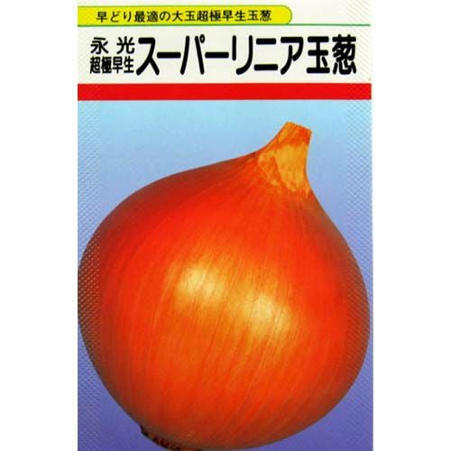 たまねぎ 種 【スーパーリニア】