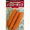 とうもろこし 種 【イエローポップ】