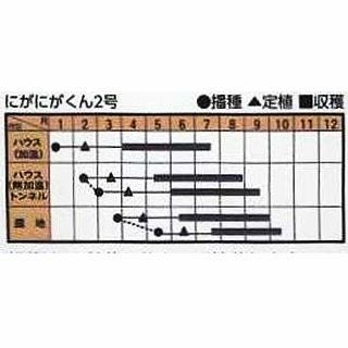 ゴーヤ 種 【にがにがくん2号】 小袋