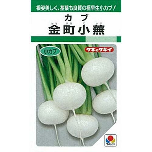 カブ 種 【 金町小蕪 】 種子 １Ｌ