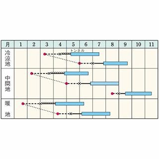 ズッキーニ 種 【 オーラムEX 】 小袋 GF 