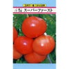 大玉トマト 種 【スーパーファースト】 30粒