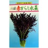 高菜・からし菜 種 【 赤からし水菜 】 種子