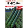 きゅうり 種 【ほっきこうJP】 20粒