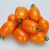 トマト 種 【キャンドルライト】 1,000粒