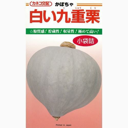 かぼちゃ 種 【白い九重栗】 1,000粒
