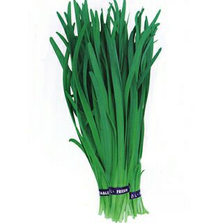 にら 種 【 ニラニコニコ太郎 】 種子