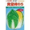白菜 種 【 黄望峰６５ 】 種子 コート５千粒