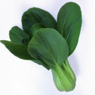 ちんげん菜 種 【 しんとく 】 種子