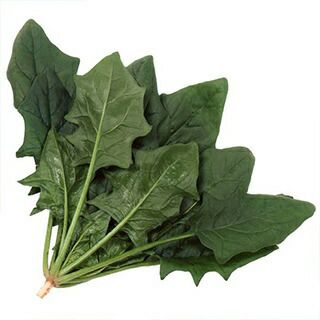 ホウレンソウ 種 【 パレード 】 種子