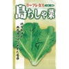 【 沖縄島ちしゃ菜 】 種子