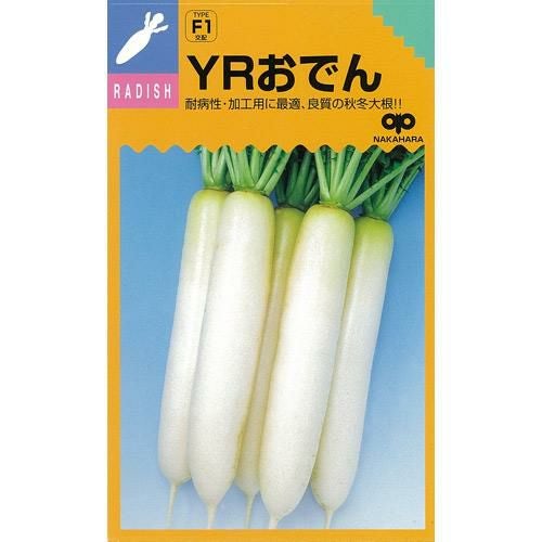 大根 種 【 YRおでん 】 種子
