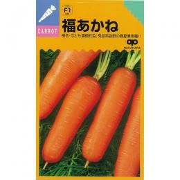 にんじん 種 【 福あかね 】 種子 2dl