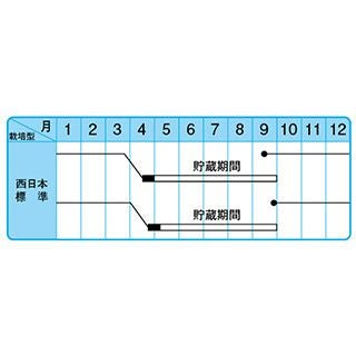 たまねぎ 種 【早生こがね】 10ｇ