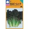【 カルビーレッド 】 種子
