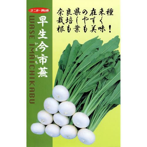 カブ 種 【 早生今市 】 種子