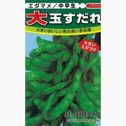 枝豆 種 【 大玉すだれ 】 種子