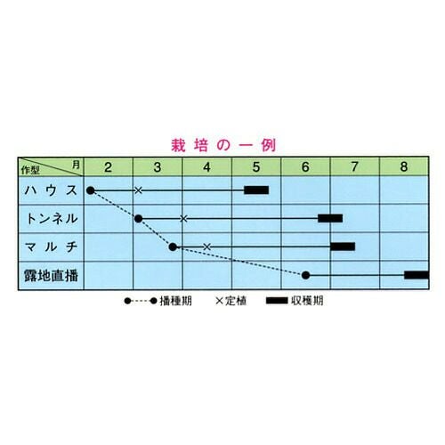 枝豆 種 【 田園 】 種子