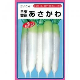 大根 種 【 あさかわ 】 種子 2dl缶