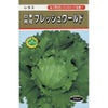 レタス 種 【 フレッシュワールド 】 種子 ２０ｍｌ