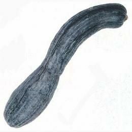 かぼちゃ 種 【夕顔南瓜(中国南瓜)】 1dl