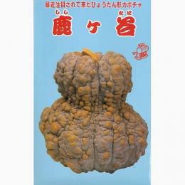 かぼちゃ 種 【鹿ヶ谷南瓜】 約5ml