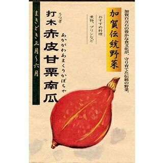 かぼちゃ 種 【打木甘栗】 50ml