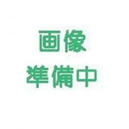 かぼちゃ 種 【打木甘栗】 1dl