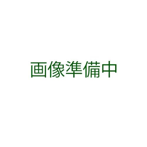 つるありいんげん 種 【大紅花】 5dl