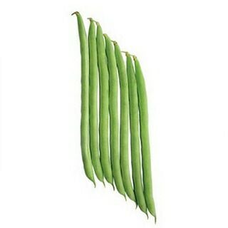 つるありいんげん 種 【ナリブシ】 1dl
