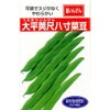 つるありいんげん 種 【大平莢尺八寸菜豆】 20ml