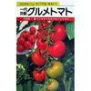 大玉トマト 種 【グルメ】 10粒