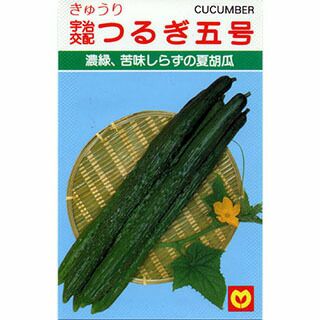 きゅうり 種 【つるぎ五号】 1.4ml