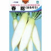 大根 種 【 春総（はるそう） 】 種子