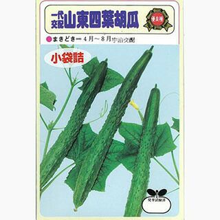 きゅうり 種 【山東四葉】 2ml