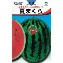 スイカ 種 【夏まくら】 8粒