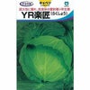 キャベツ 種 【 YR楽匠 】 種子