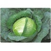 キャベツ 種 【 YR新風 】 種子 コート5千粒