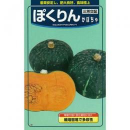かぼちゃ 種 【ぽくりん】 10粒