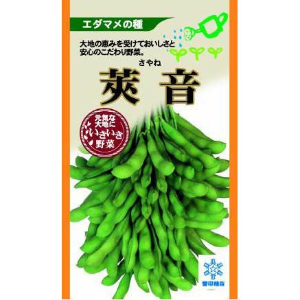 枝豆 種 【 莢音 】 種子