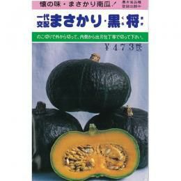 かぼちゃ 種 【まさかり南瓜・黒将】 10粒