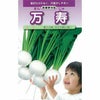 カブ 種 【 万寿小蕪 】 種子 コート５千粒