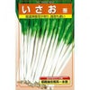 ネギ 種 【 いさお 】 種子 2dl